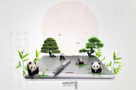 panda-wacom-bamboo-final-500x333